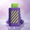 VOZOL GEAR 10000 Puffs Blueberry Ice Mesh Coil 500mAh