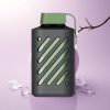 VOZOL GEAR 10000 Puffs Lush Ice Mesh Coil 500mAh 20ml