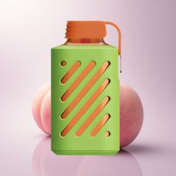 VOZOL GEAR 10000 Puffs Peach Mango Watermelon Mesh Coil 500mAh