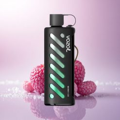 VOZOL Gear Shisha 25000 Puffs Berry Ice Dual Mesh 1000mAh