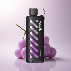 VOZOL Gear Shisha 25000 Puffs Grape Mint Dual Mesh 1000mAh