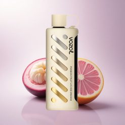 VOZOL Gear Shisha 25000 Puffs Passion Fruit Lychee Orange Dual Mesh 5mg Nicotine 1000mAh