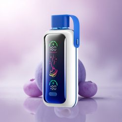 VOZOL Star 20000 Puffs Blueberry Storm Dual Mesh 650mAh