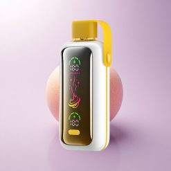 VOZOL Star 20000 Puffs Mango Ice Dual Mesh 650mAh