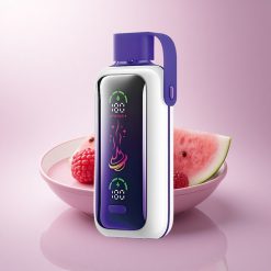 VOZOL Star 20000 Puffs Raspberry Watermelon Dual Mesh 650mAh