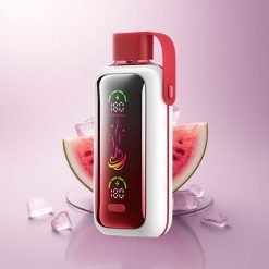 VOZOL Star 20000 Puffs Watermelon Ice Dual Mesh 650mAh