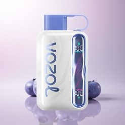 VOZOL STAR 40000 Puffs Blueberry Mint 1000mAh 20mg Nicotine