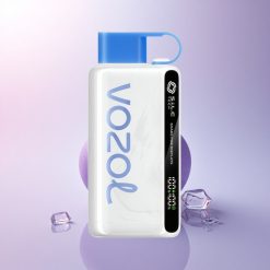 VOZOL STAR 9000/12000 Puffs Blue Razz Ice Recycled 650mAh