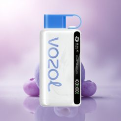 VOZOL STAR 9000/12000 Puffs Blueberry Storm Recycled 650mAh Fast Charge